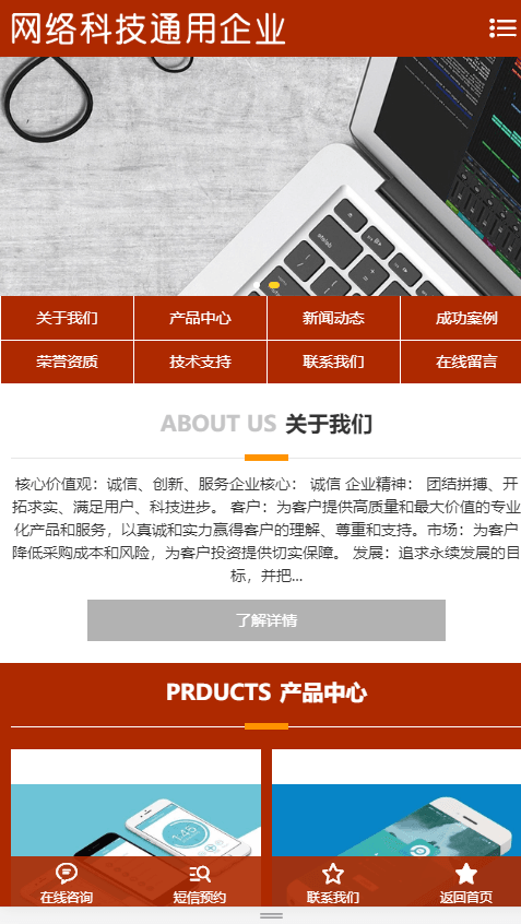 网络软件开发互联网科技公司网站建设模板