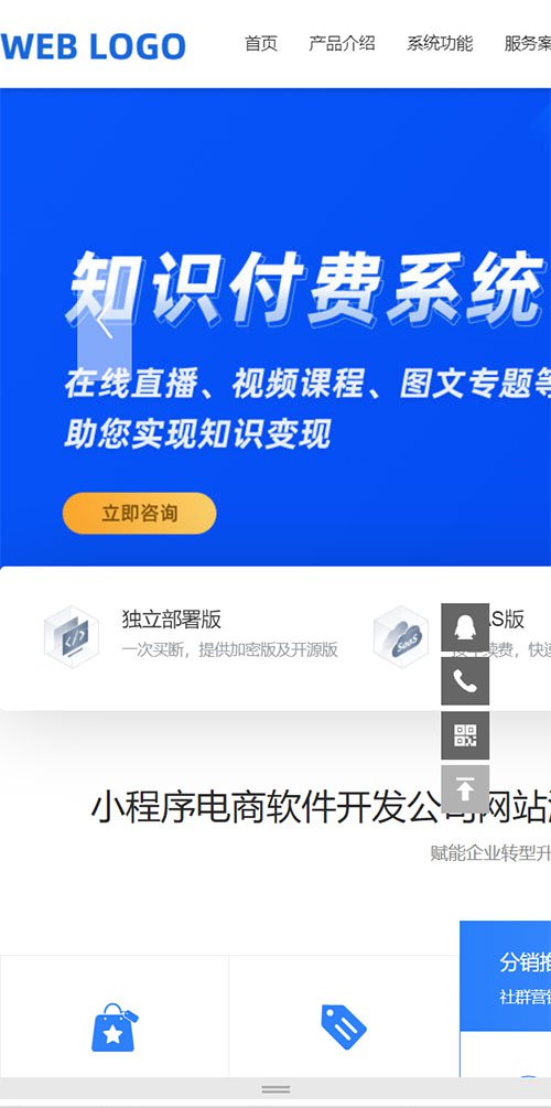 响应式/互联网/小程序/知识付费类网站开发建设