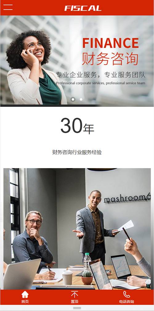 财务公司/代理记账/工商注册/企业资产管理类网站建设开发