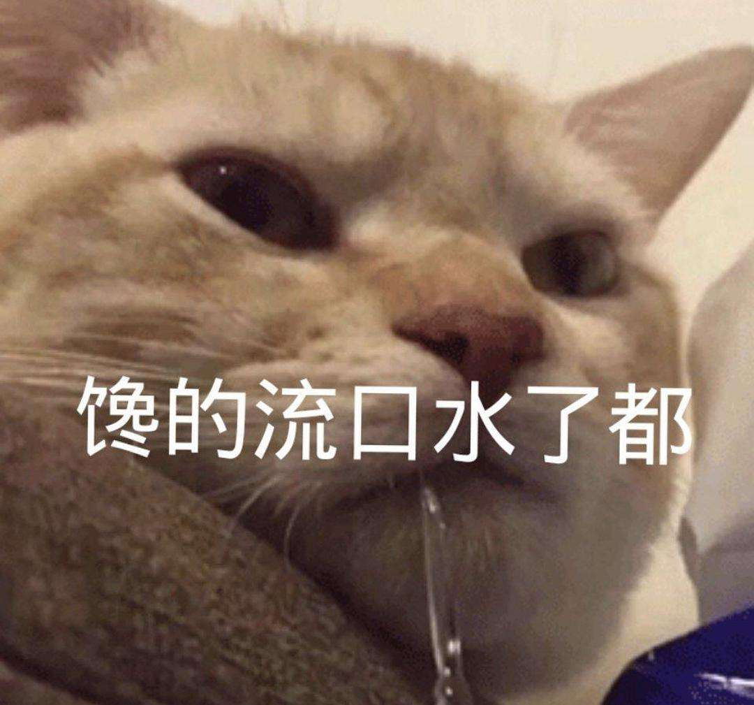 遵义这些矢量套件令设计师的口水从眼角流了下来