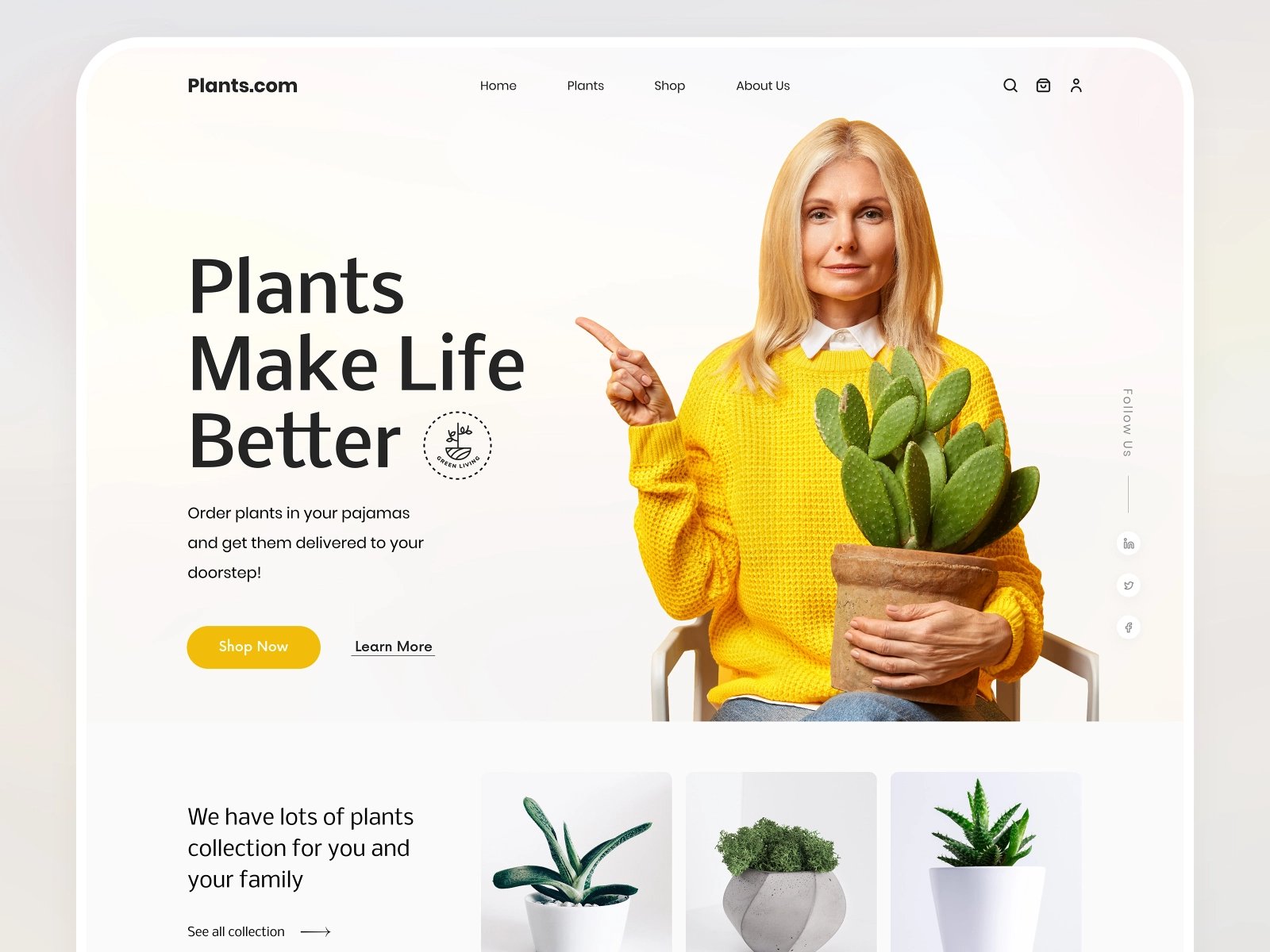 绿植商店网站WEB网页界面制作设计灵感(12图)