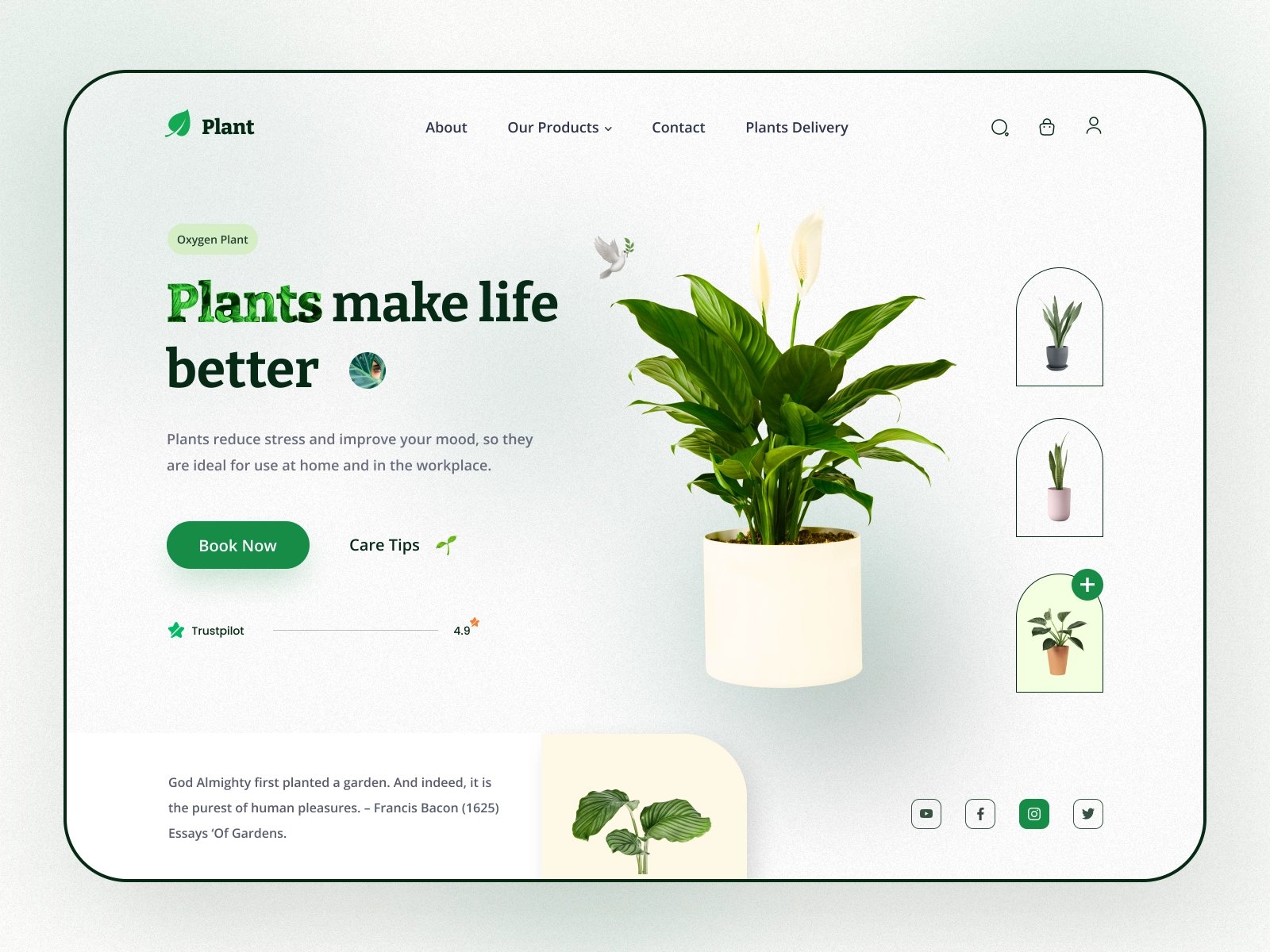 清新自然！12组绿植商店WEB界面设计灵感