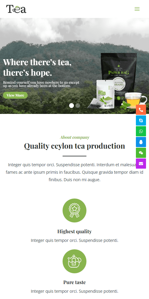 英文外贸茶叶茶具产品营销独立站企业网站制作建设开发