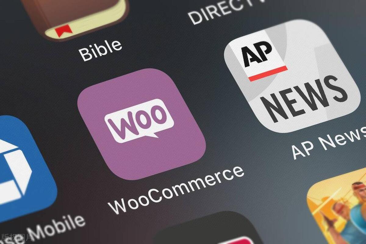 做跨境电商独立站，选择Shopify还是WooCommerce？(图3)