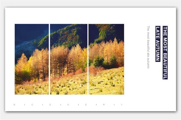 网页设计如何选择合适的图片排版方式(图5) 网页设计如何选择合适的图片排版方式(图5)